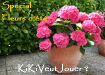 KKVJ - Spécial Fleurs d'Eté